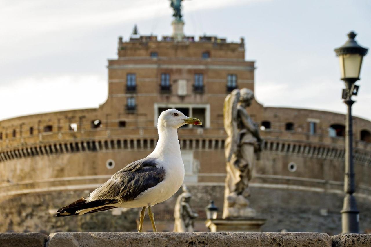 Roma Vatican Eksteriør billede
